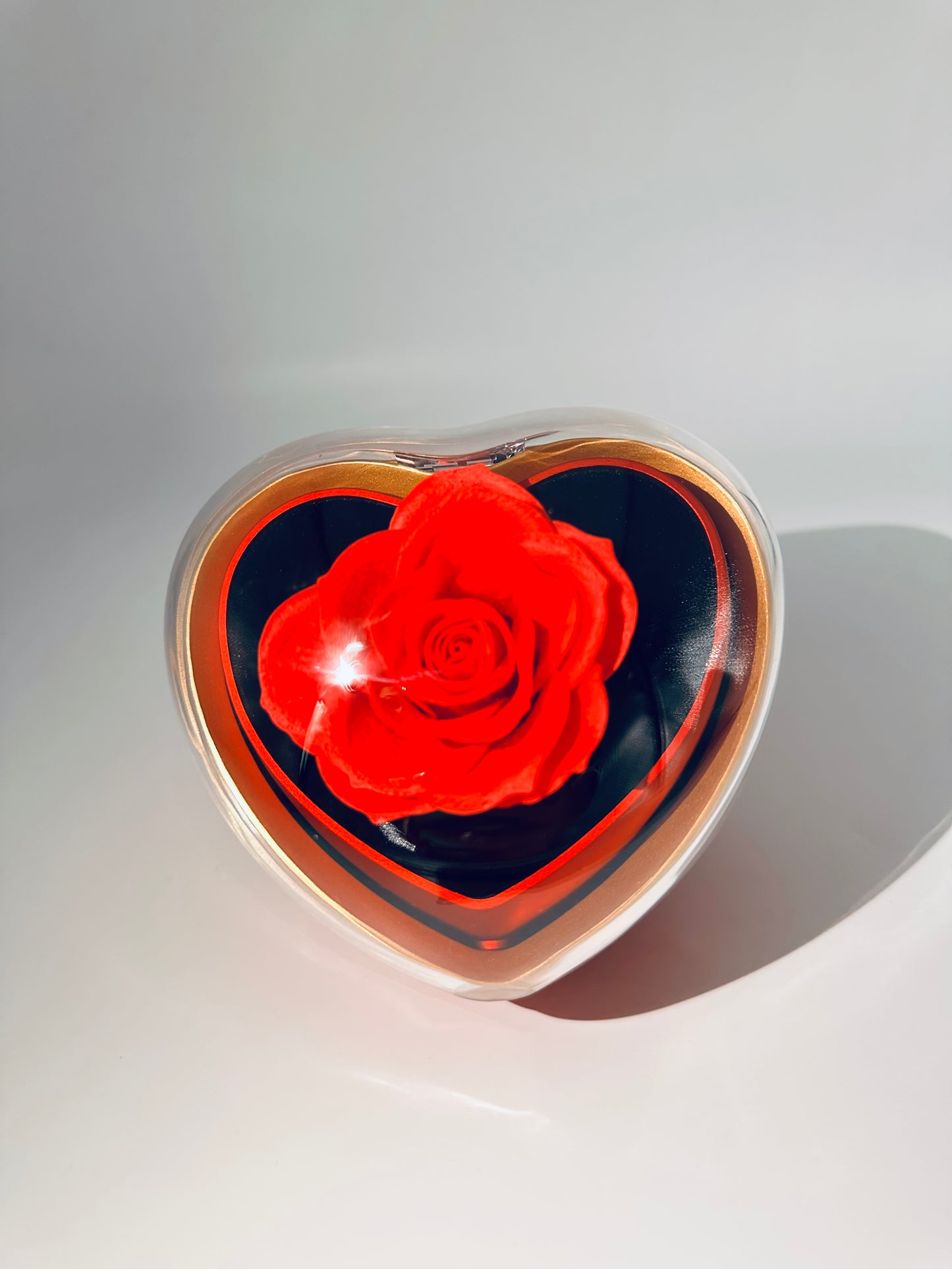 Orecchini Cuore Valentino Argento