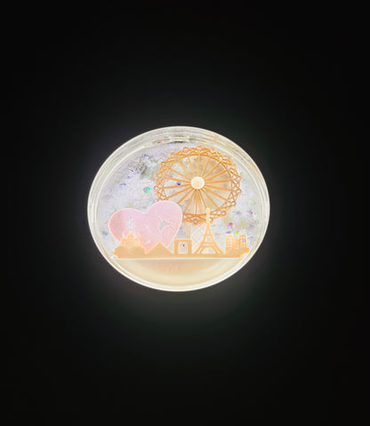 Orecchini Cuore Valentino Argento