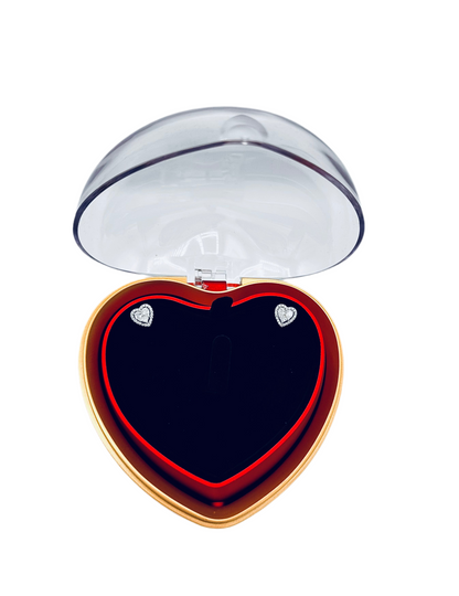 Orecchini Cuore Valentino Argento