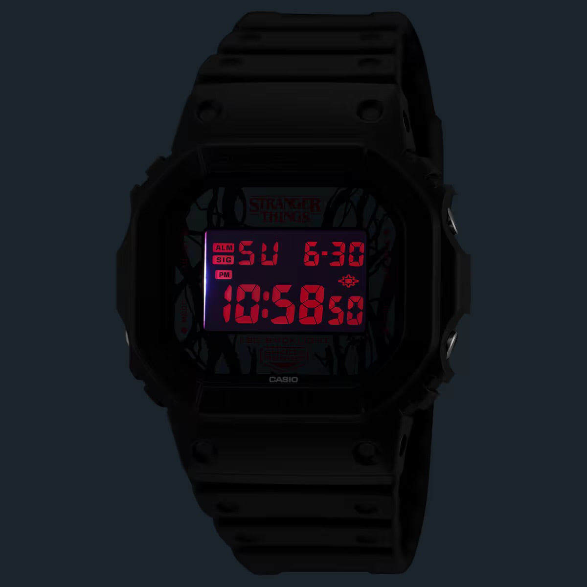 G-SHOCK x STRANGER THINGS
ORIGIN
SERIE 5600
DW-5600STT-1